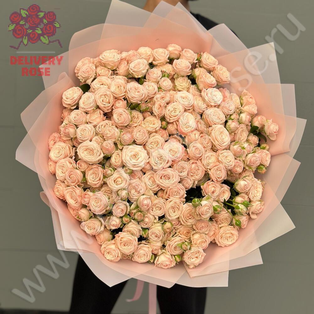 Пионовидная кустовая роза Bombastic