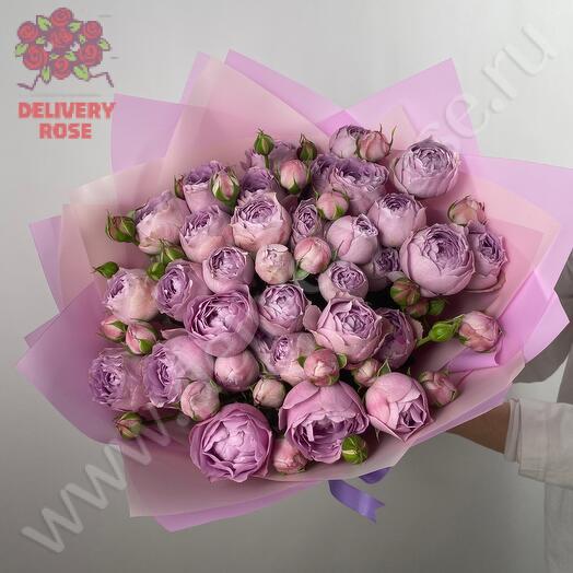 Пионовидная кустовая роза Lavender Bubbles