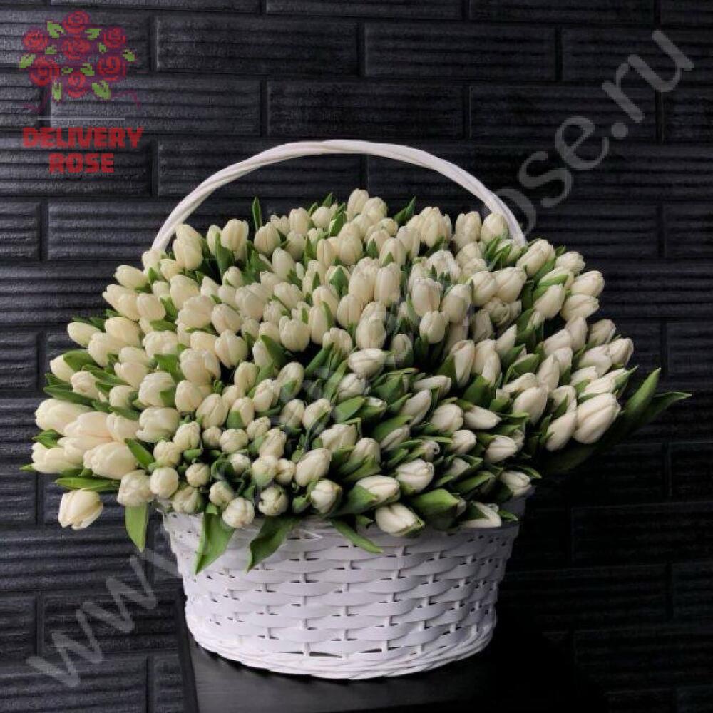 501 тюльпан в корзине