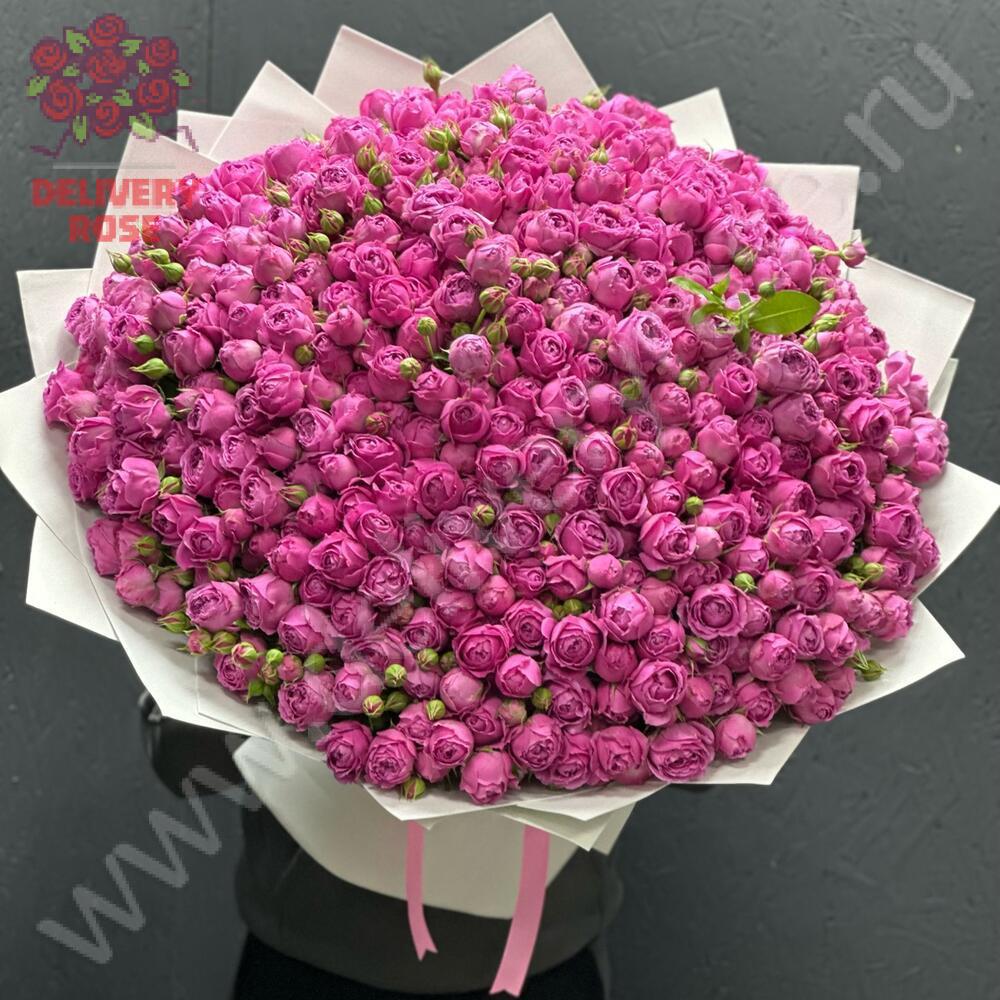 Пионовидные розы Misty Bubbles